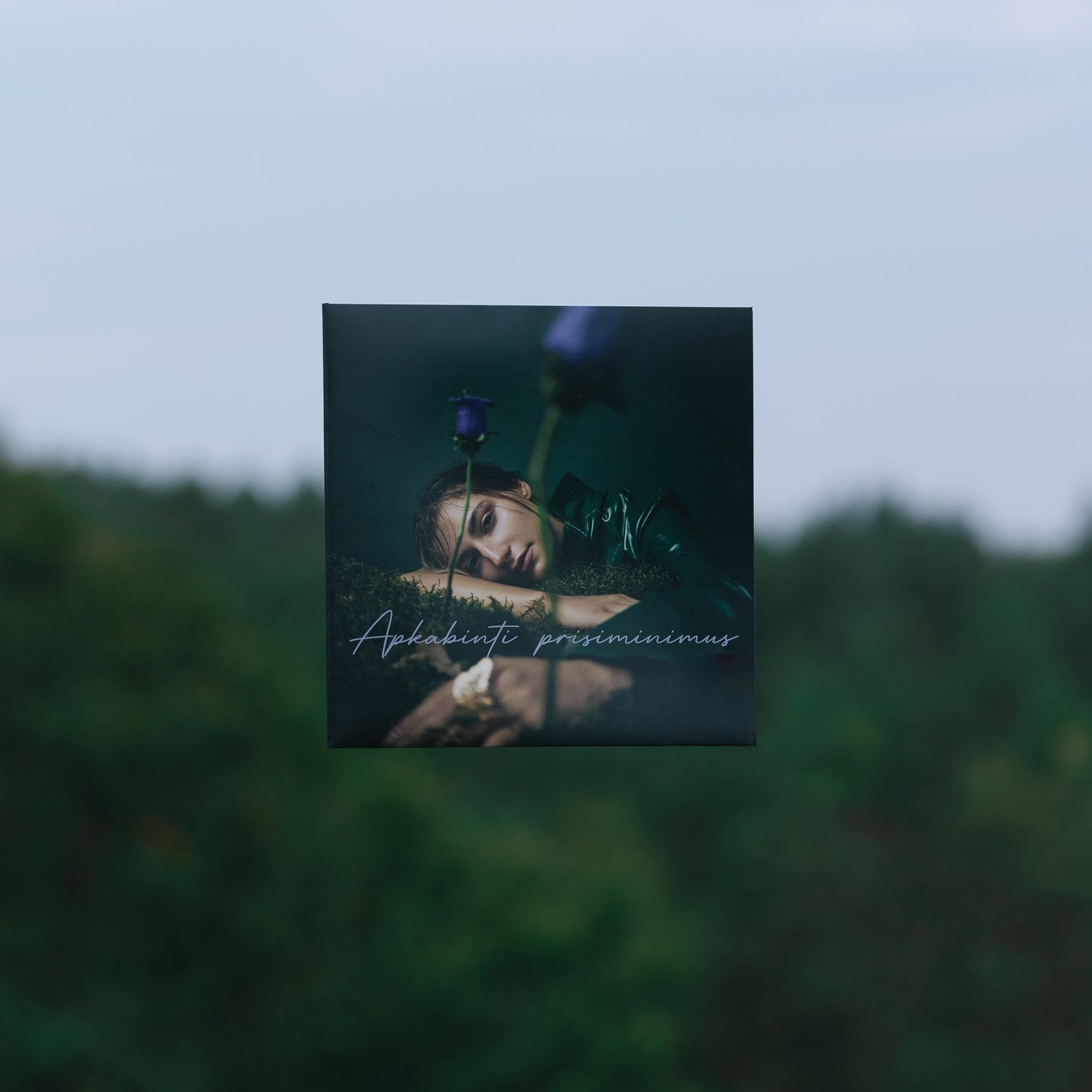 Jessica Shy vinilinė plokštelė „Apkabinti prisiminimus“
