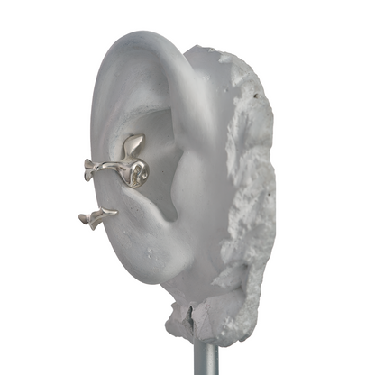 „Ydos Dorybės x Shy“ auskaras (earcuff)